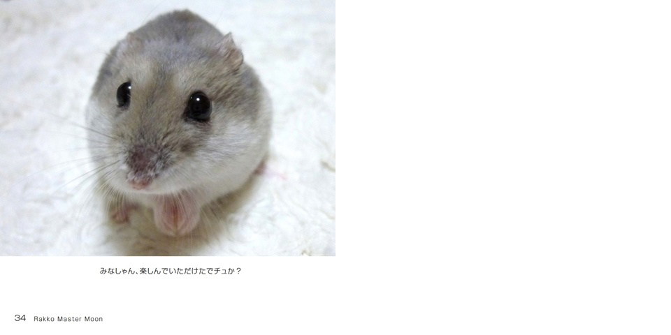 フォトブック 34ページ目