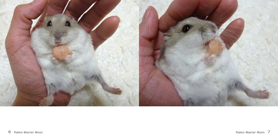 フォトブック 6ページ目