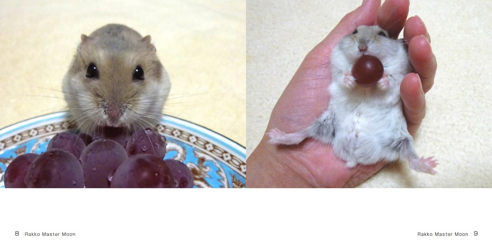 フォトブック 8ページ目