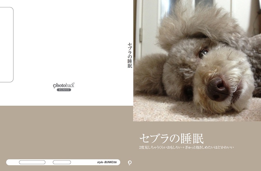 フォトブック ジャケット