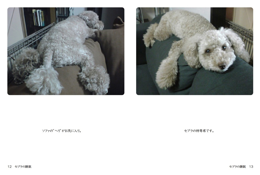 フォトブック 12ページ目
