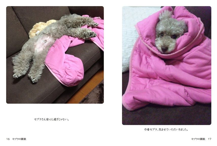 フォトブック 16ページ目