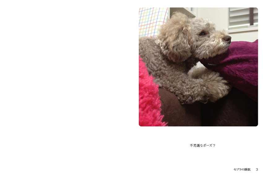 フォトブック 2ページ目