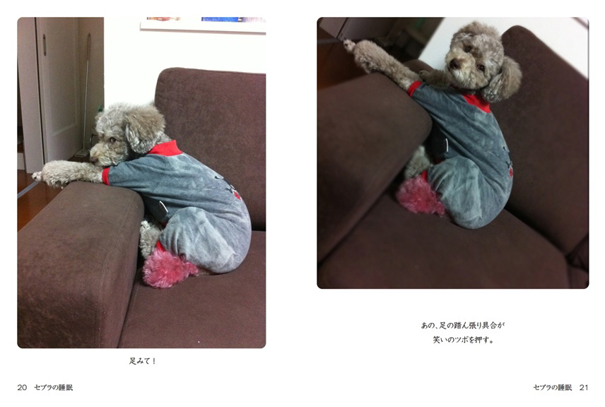 フォトブック 20ページ目