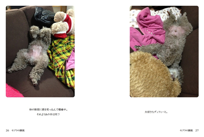 フォトブック 26ページ目