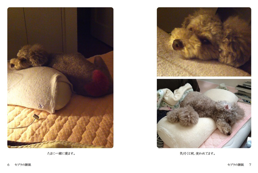 フォトブック 6ページ目