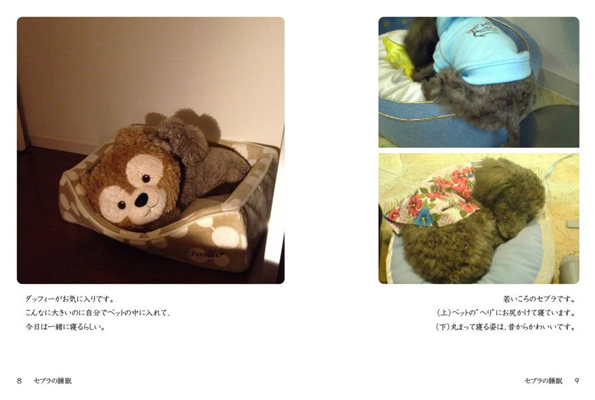 フォトブック 8ページ目