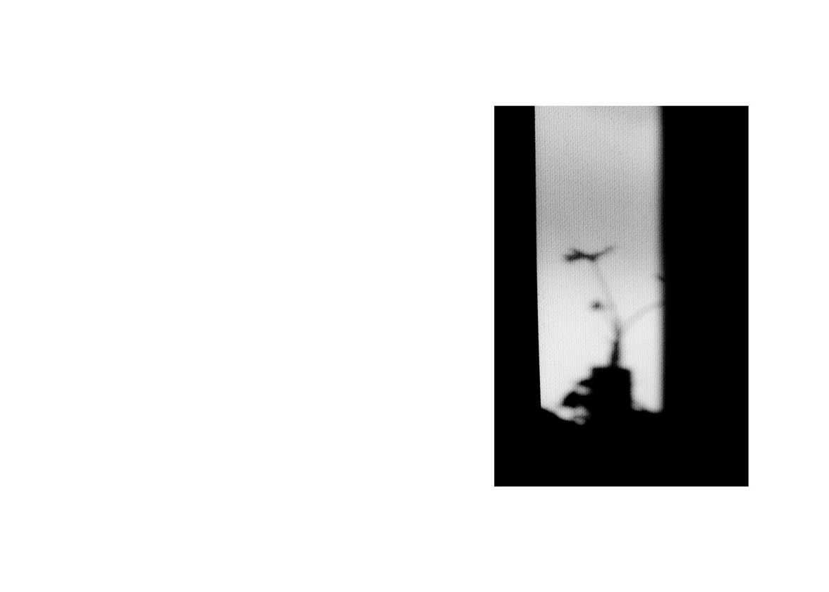 フォトブック 12ページ目