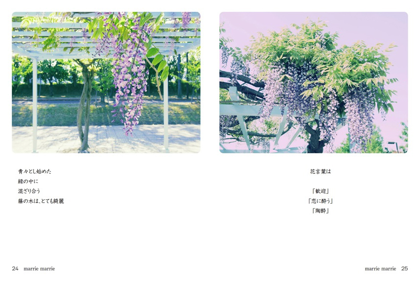 フォトブック 24ページ目