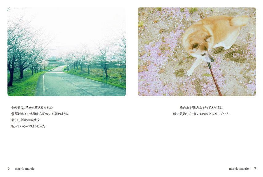 フォトブック 6ページ目
