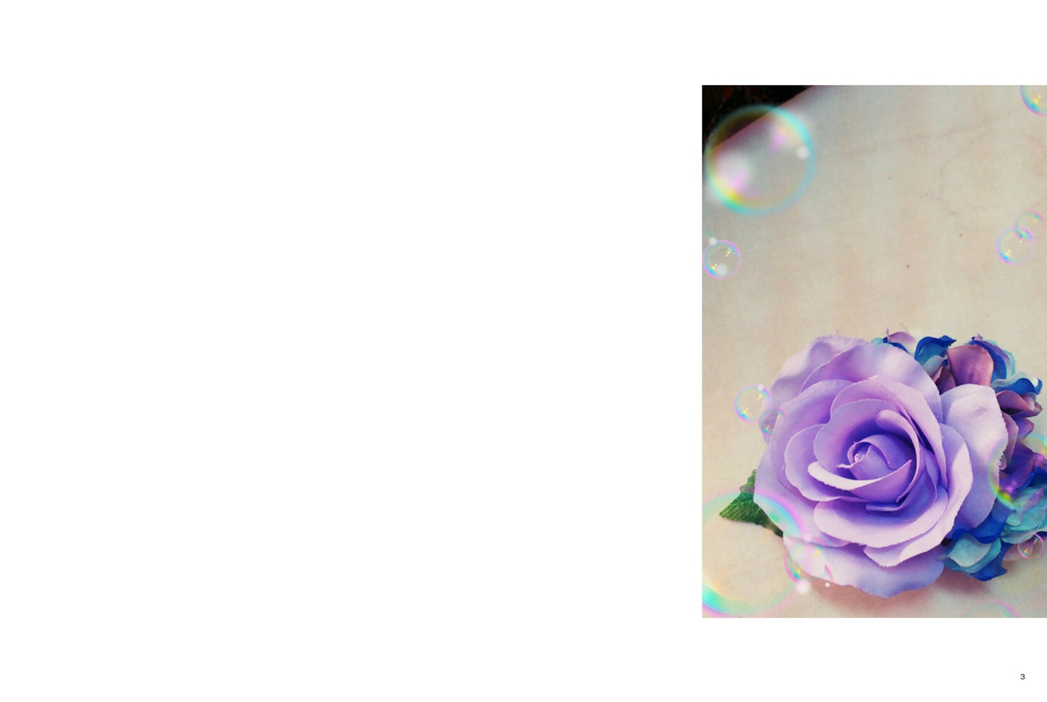 フォトブック 2ページ目
