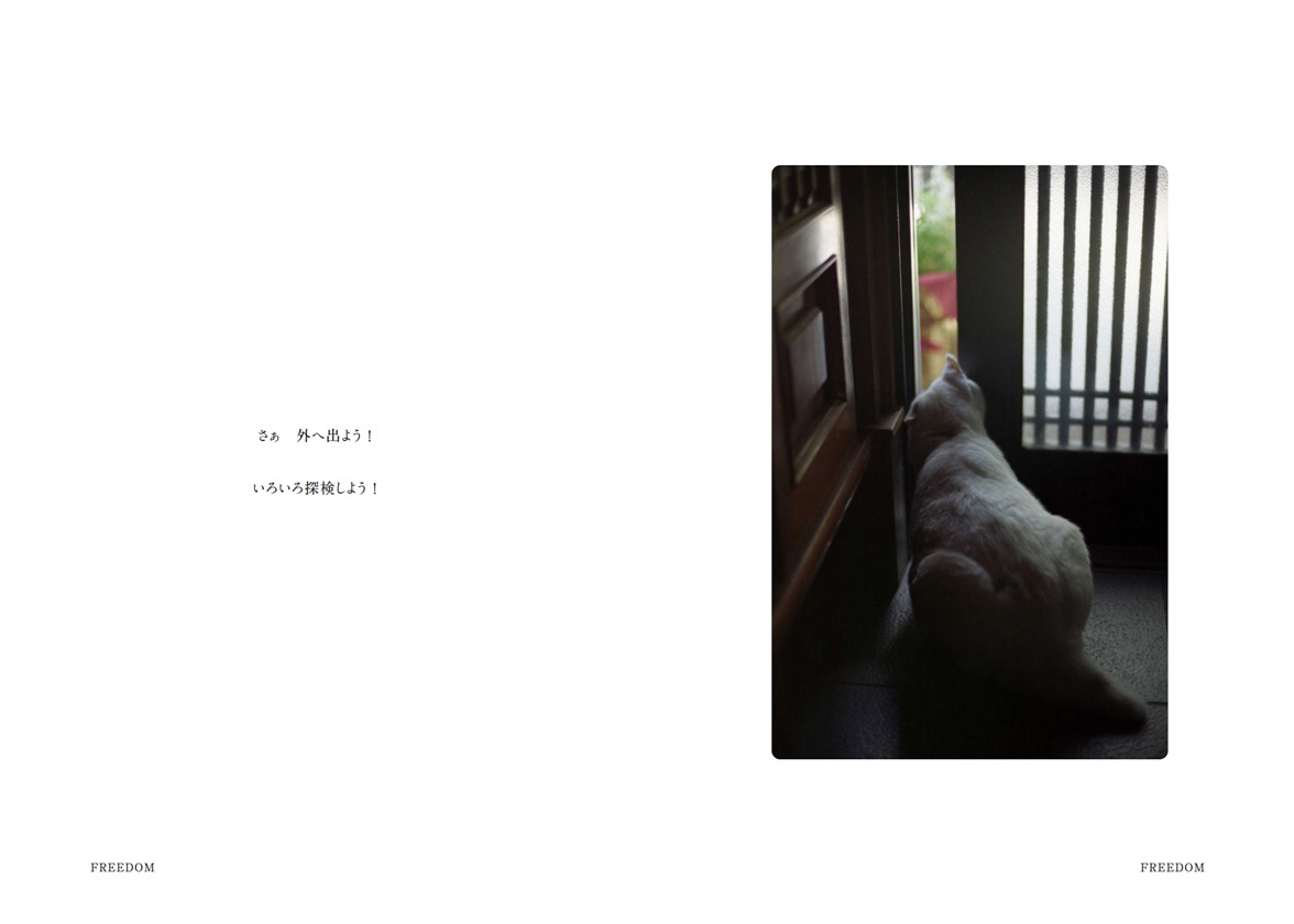 フォトブック 12ページ目