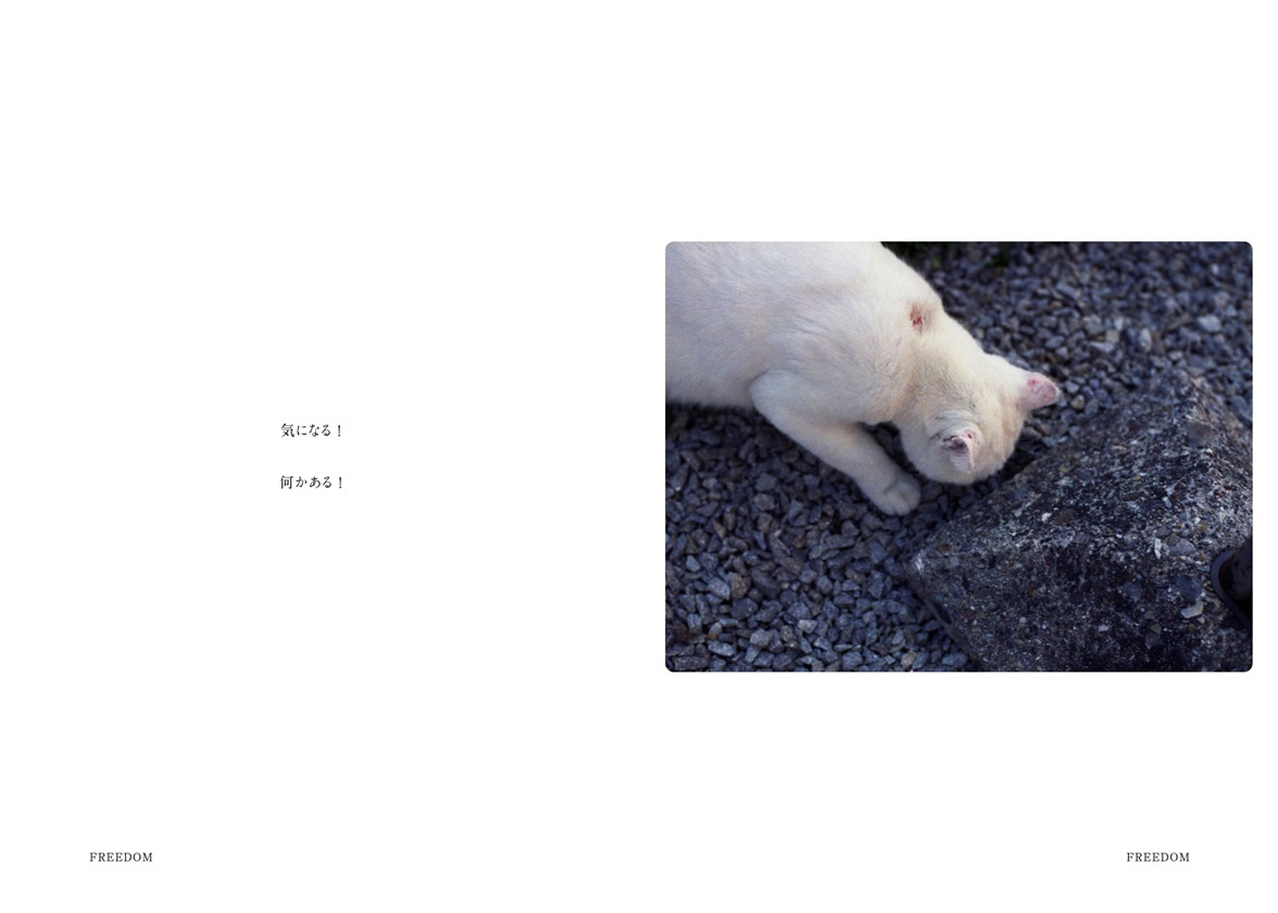 フォトブック 16ページ目
