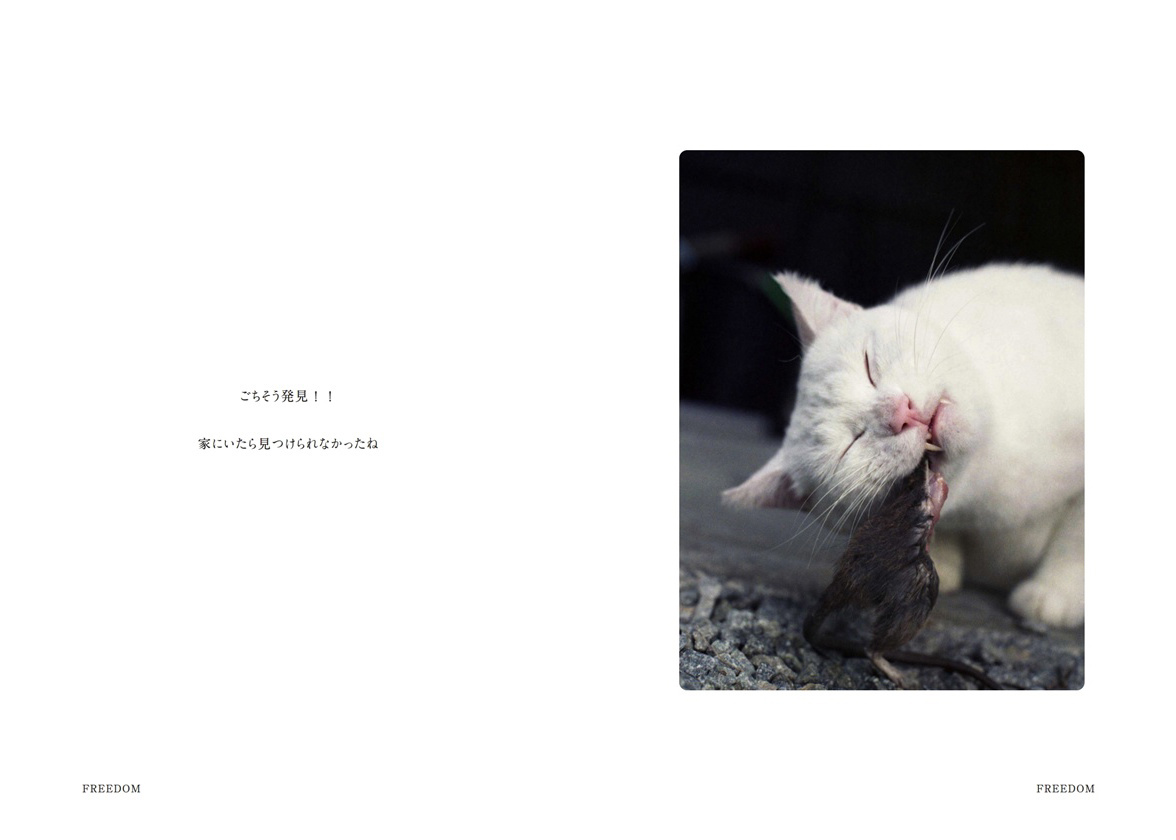 フォトブック 18ページ目