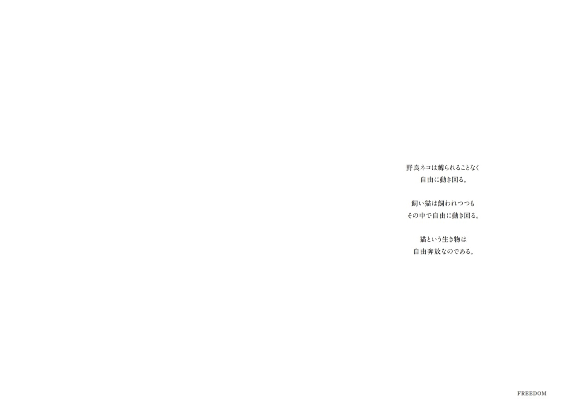 フォトブック 2ページ目