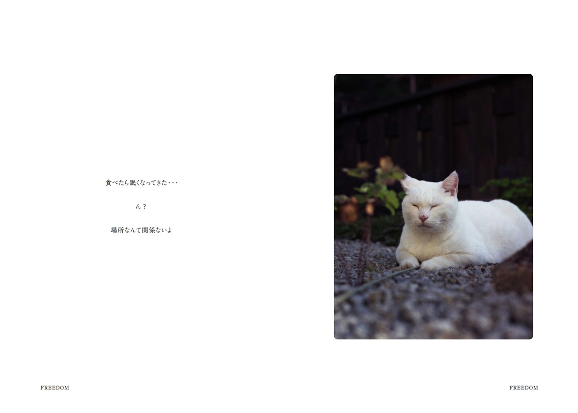 フォトブック 20ページ目