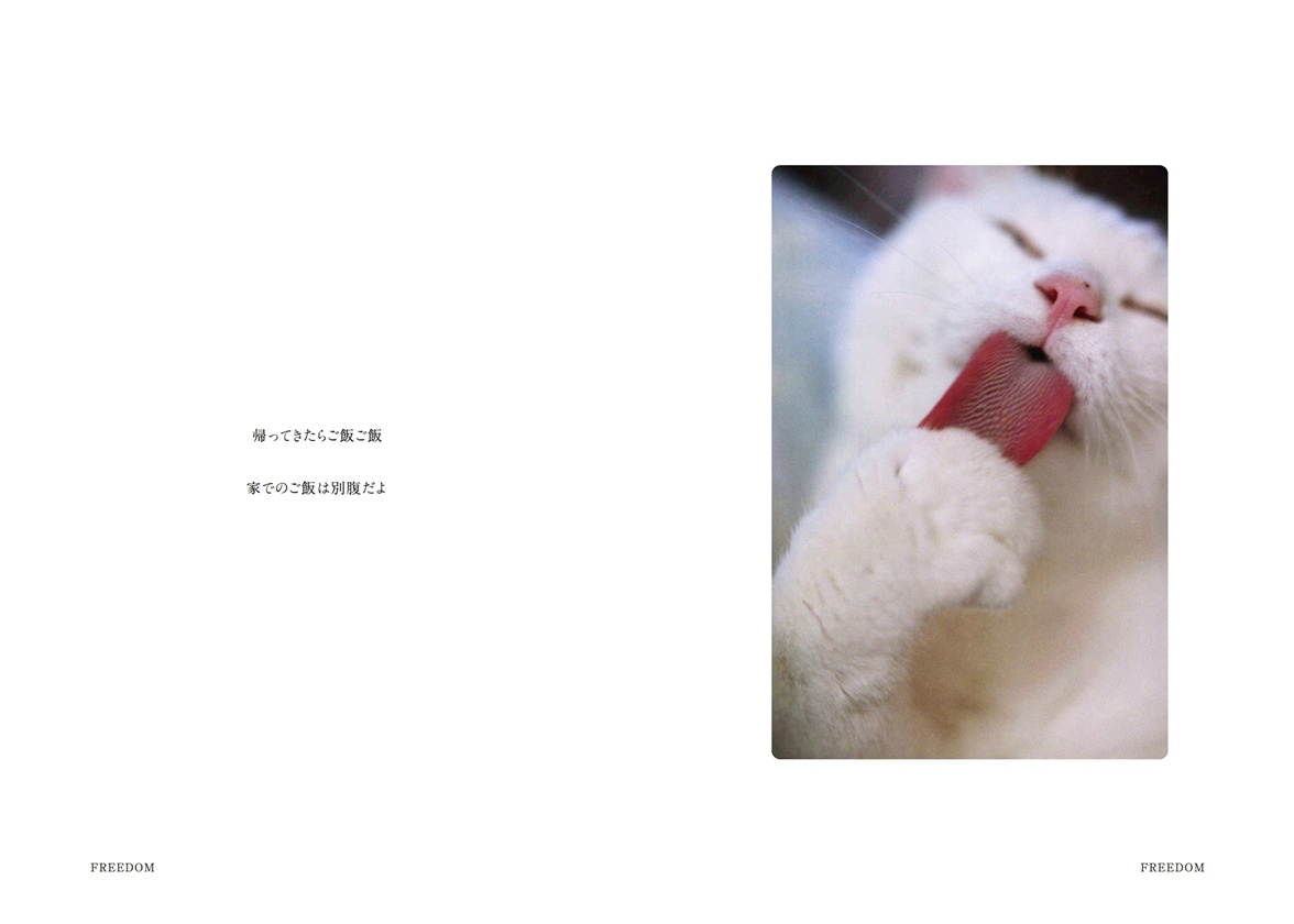 フォトブック 24ページ目