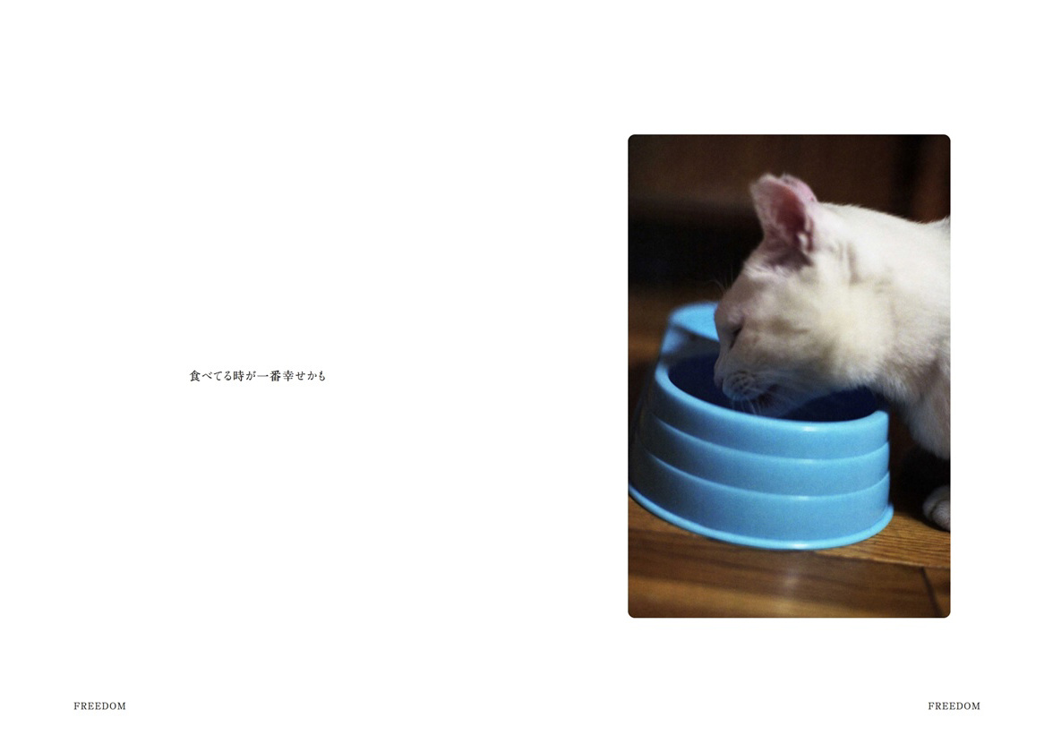 フォトブック 26ページ目