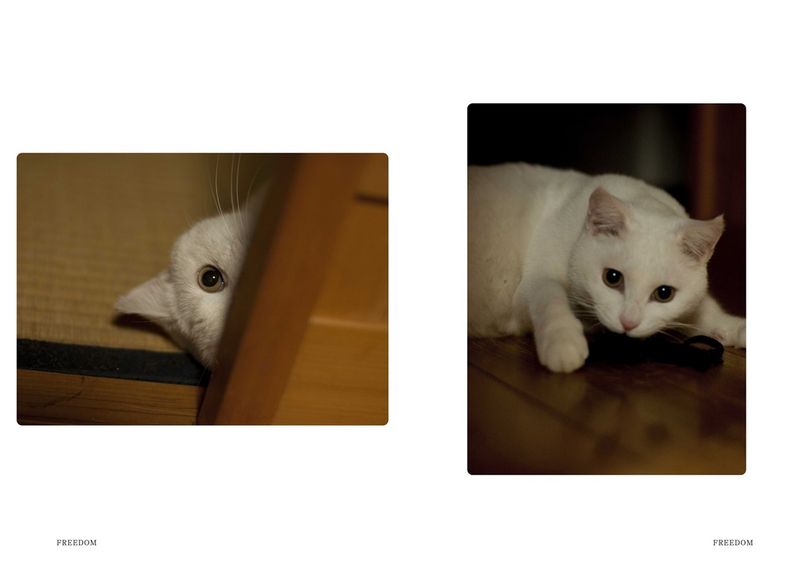 フォトブック 30ページ目
