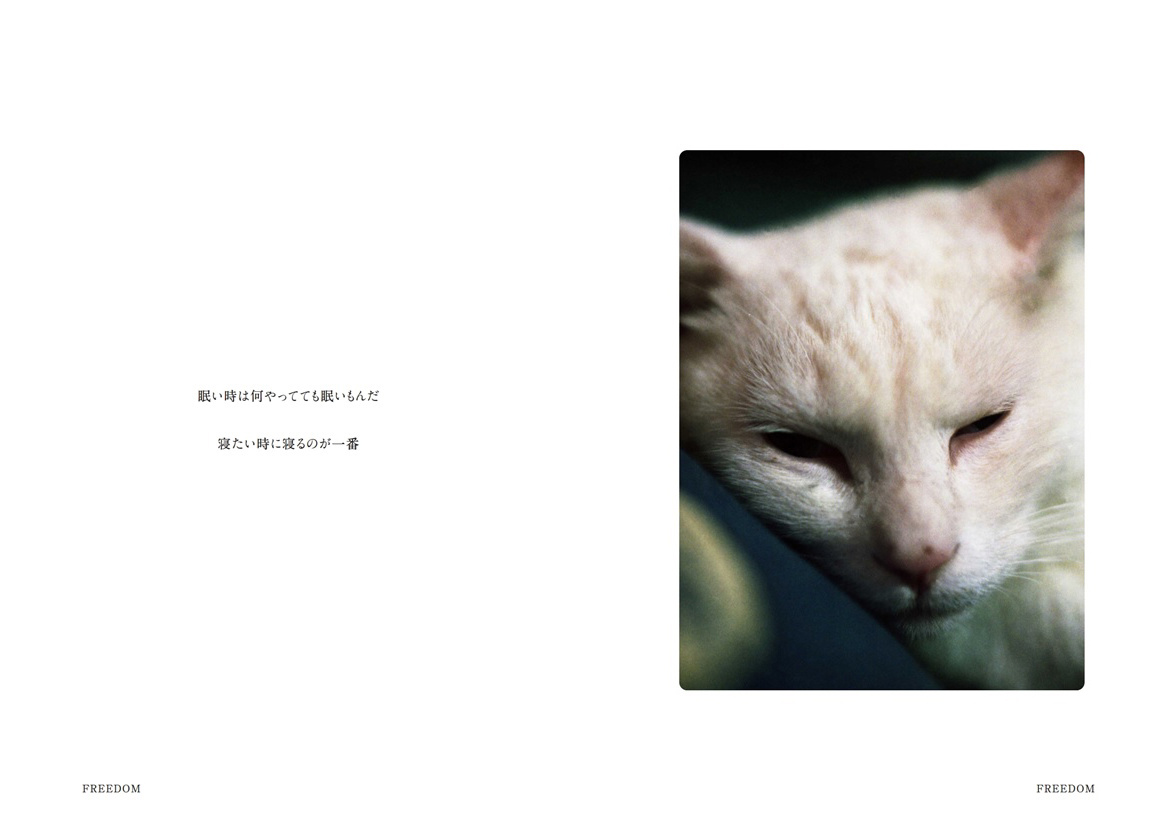 フォトブック 4ページ目