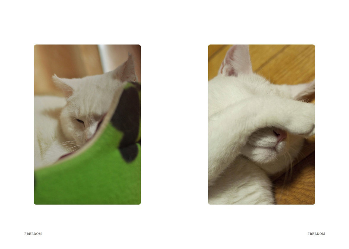 フォトブック 6ページ目