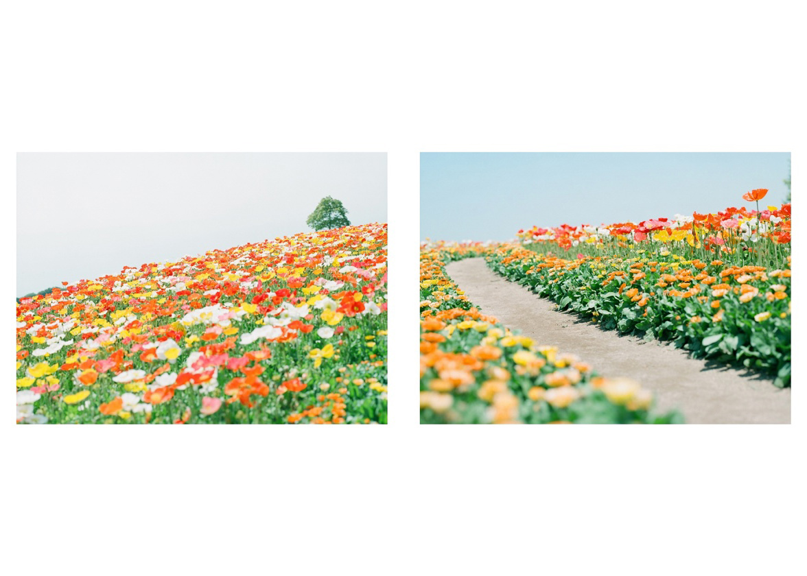 フォトブック 50ページ目