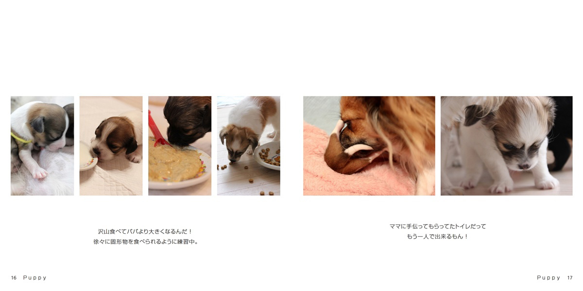 フォトブック 16ページ目