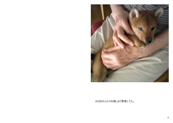 フォトブック 2ページ目