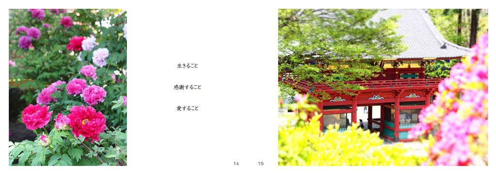 フォトブック 14ページ目