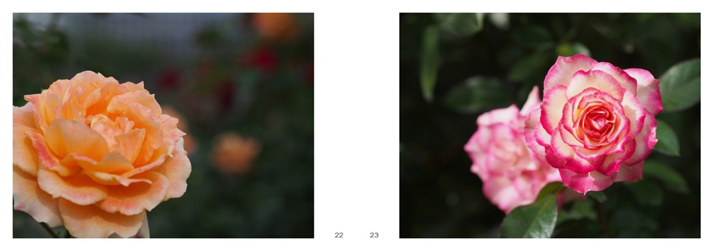 フォトブック 22ページ目