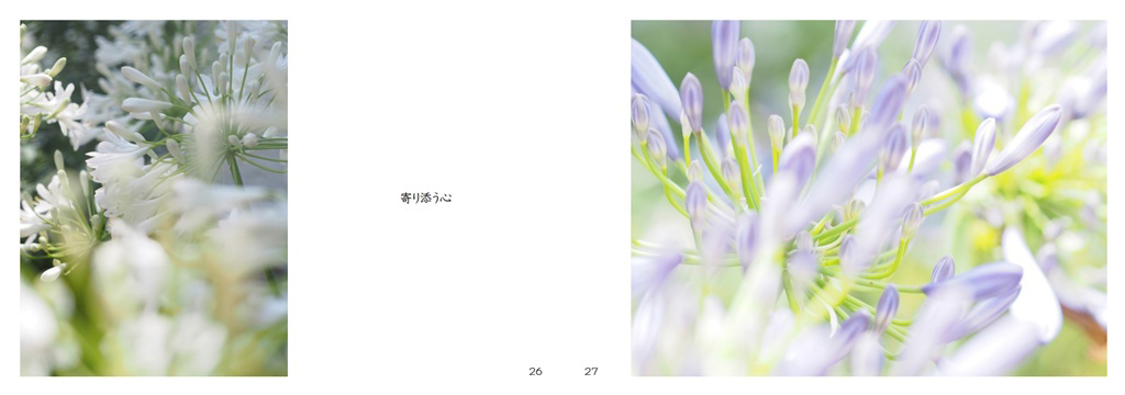 フォトブック 26ページ目