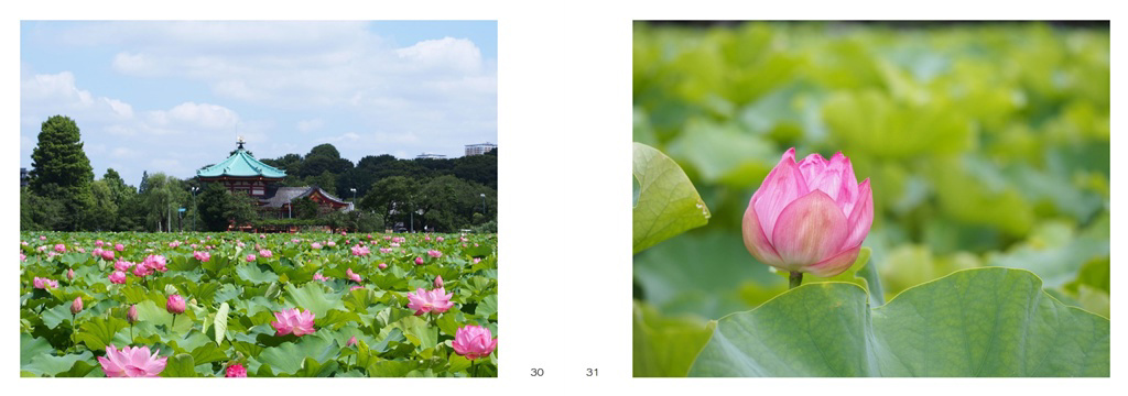 フォトブック 30ページ目