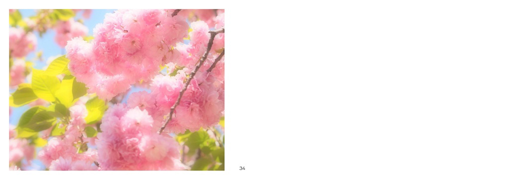 フォトブック 34ページ目