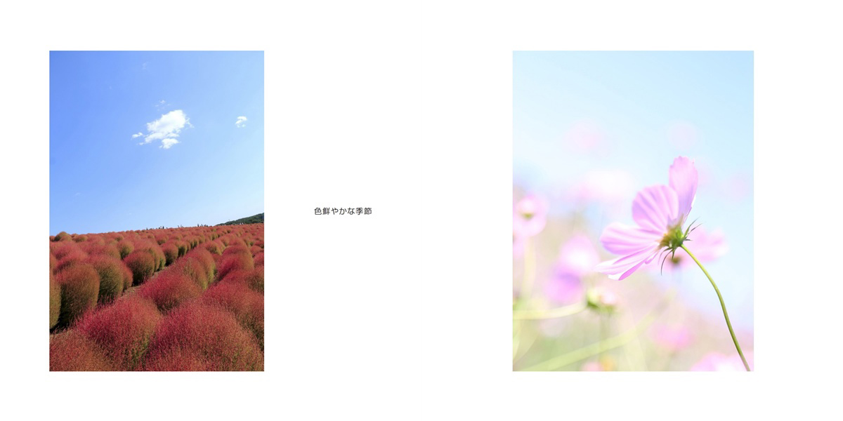フォトブック 4ページ目