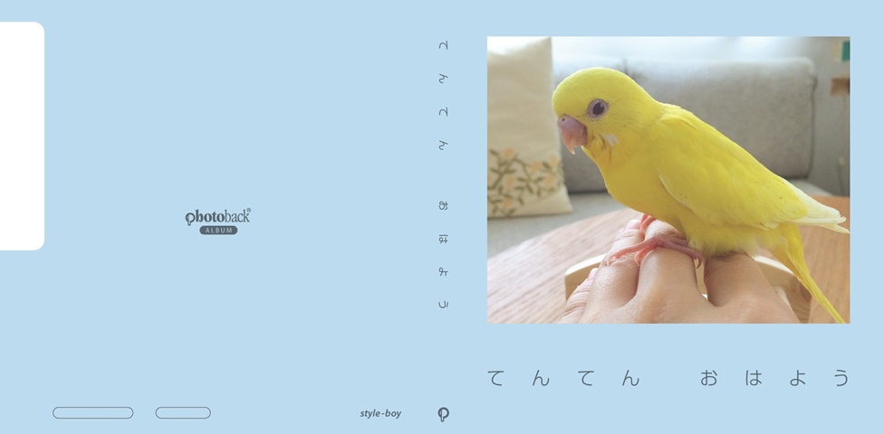 フォトブック ジャケット