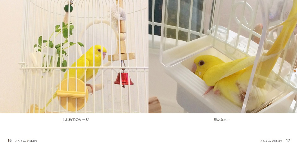 フォトブック 16ページ目