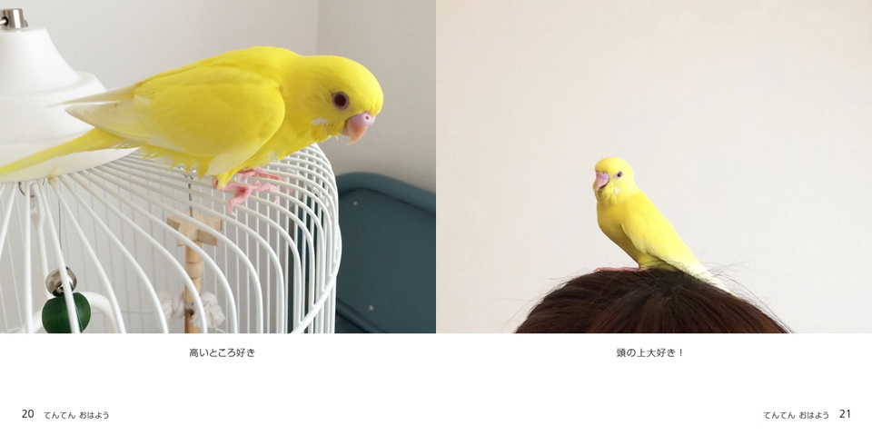 フォトブック 20ページ目