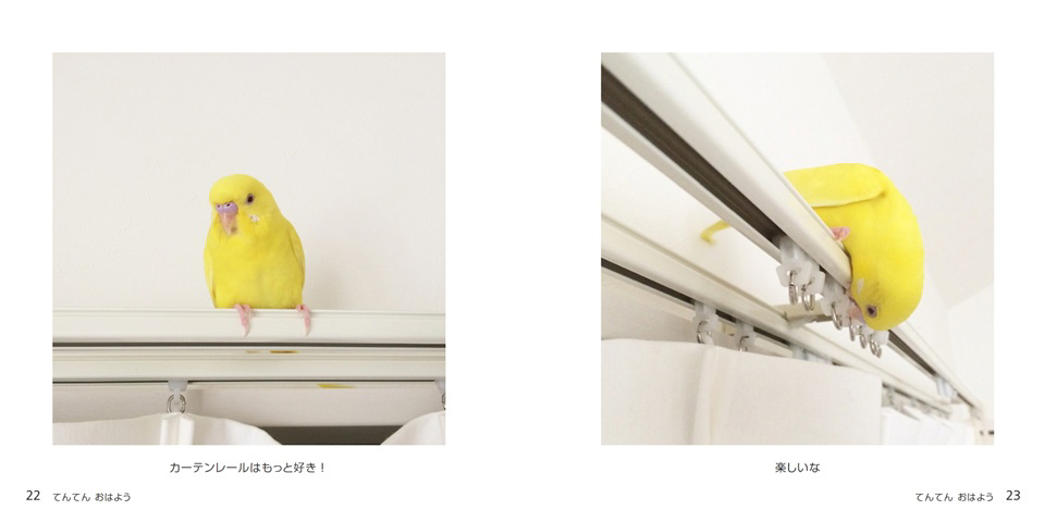 フォトブック 22ページ目