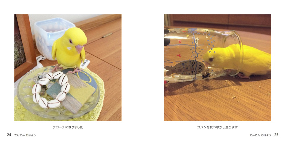 フォトブック 24ページ目
