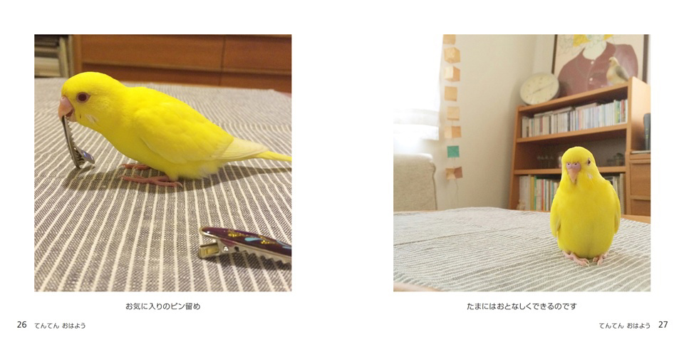 フォトブック 26ページ目