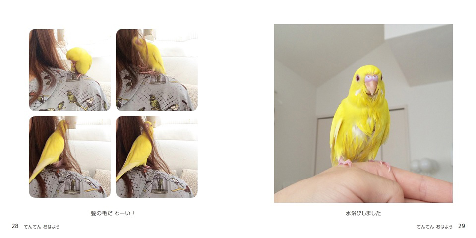 フォトブック 28ページ目