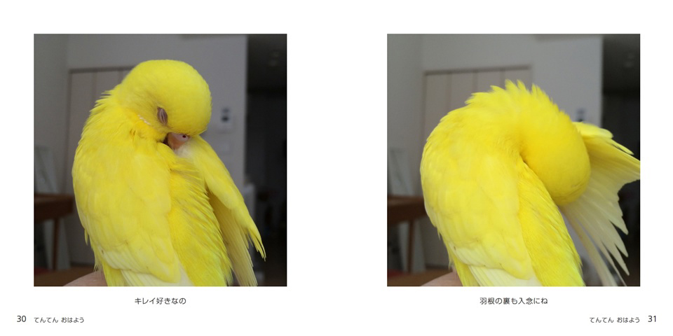 フォトブック 30ページ目
