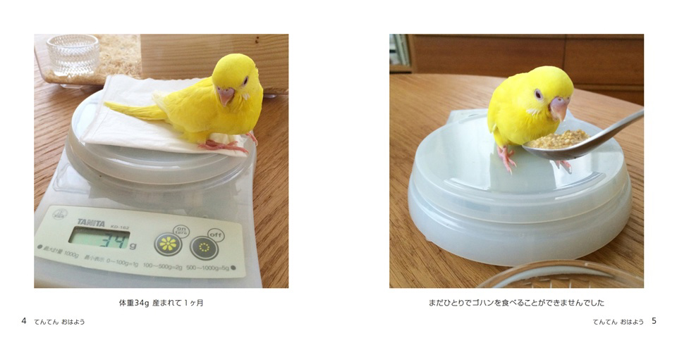 フォトブック 4ページ目
