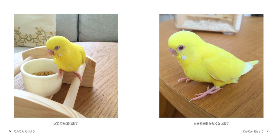 フォトブック 6ページ目