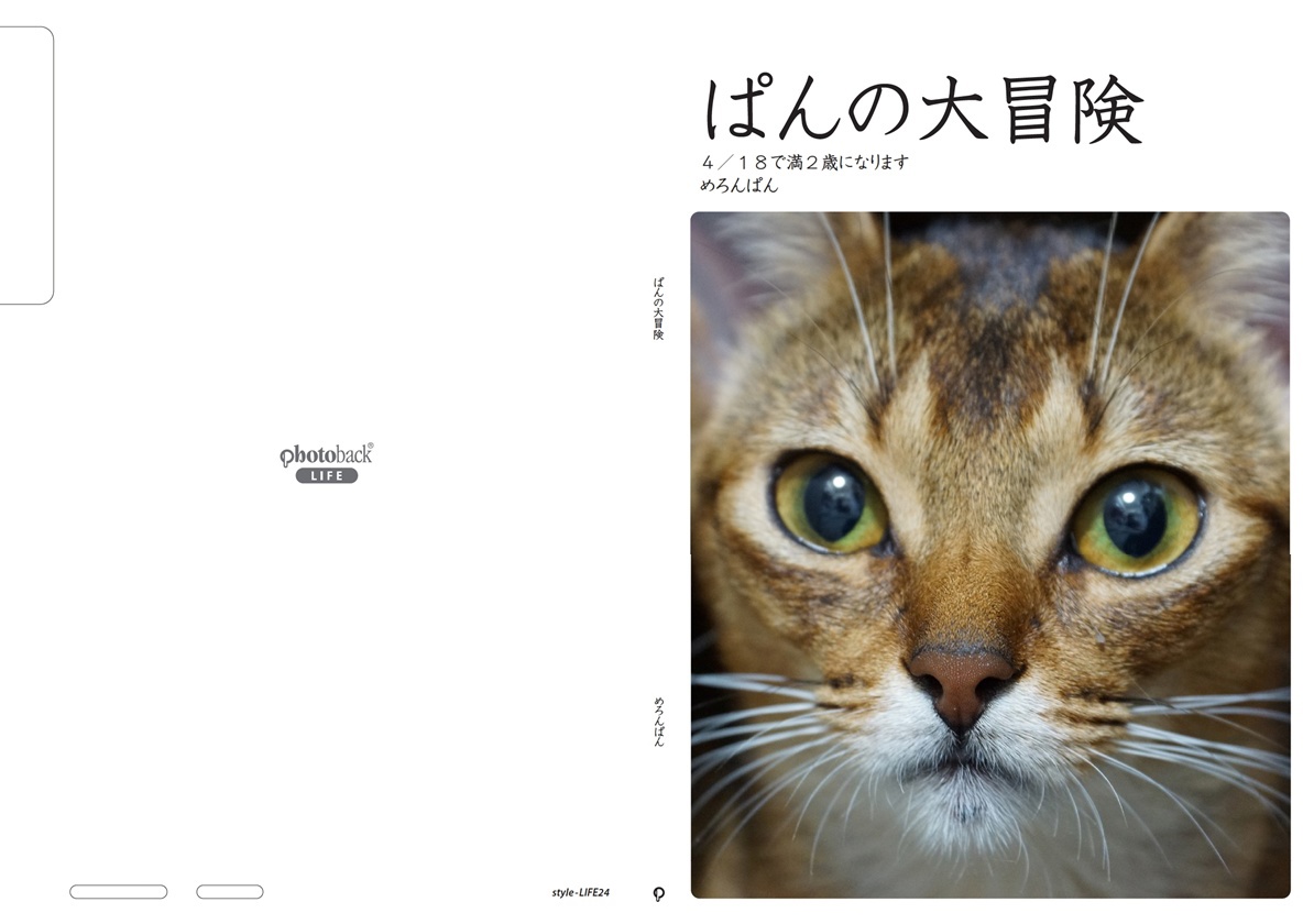 フォトブック ジャケット
