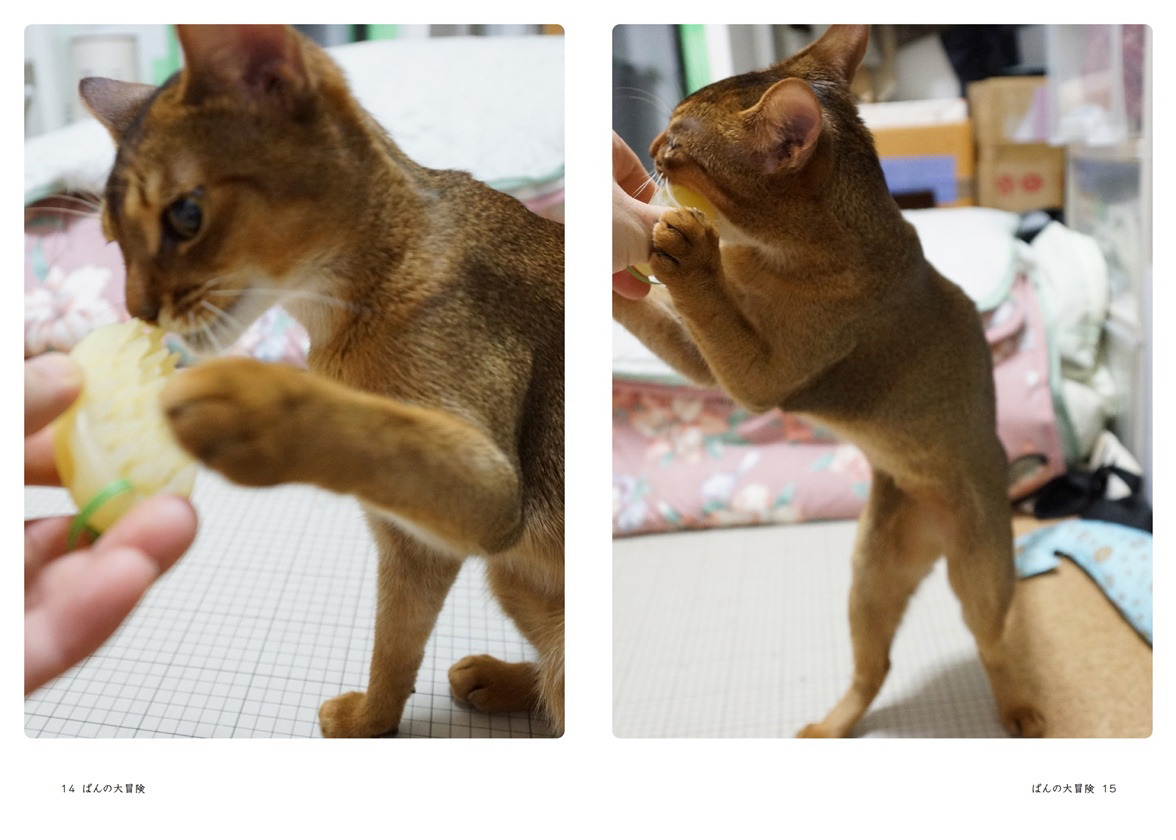フォトブック 14ページ目