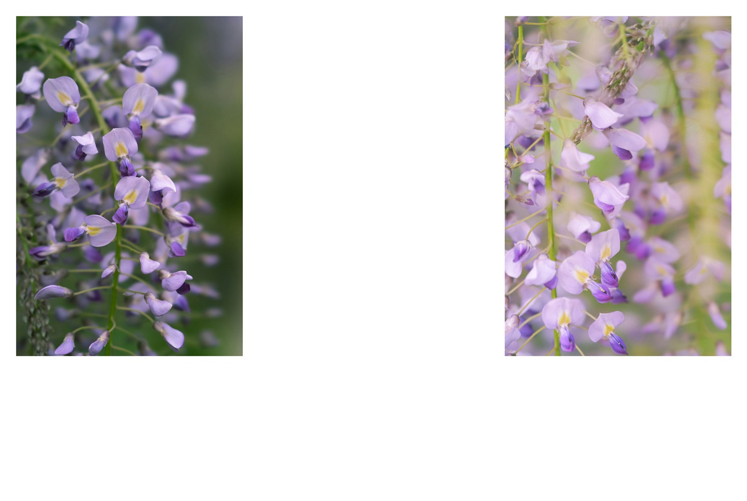 フォトブック 26ページ目