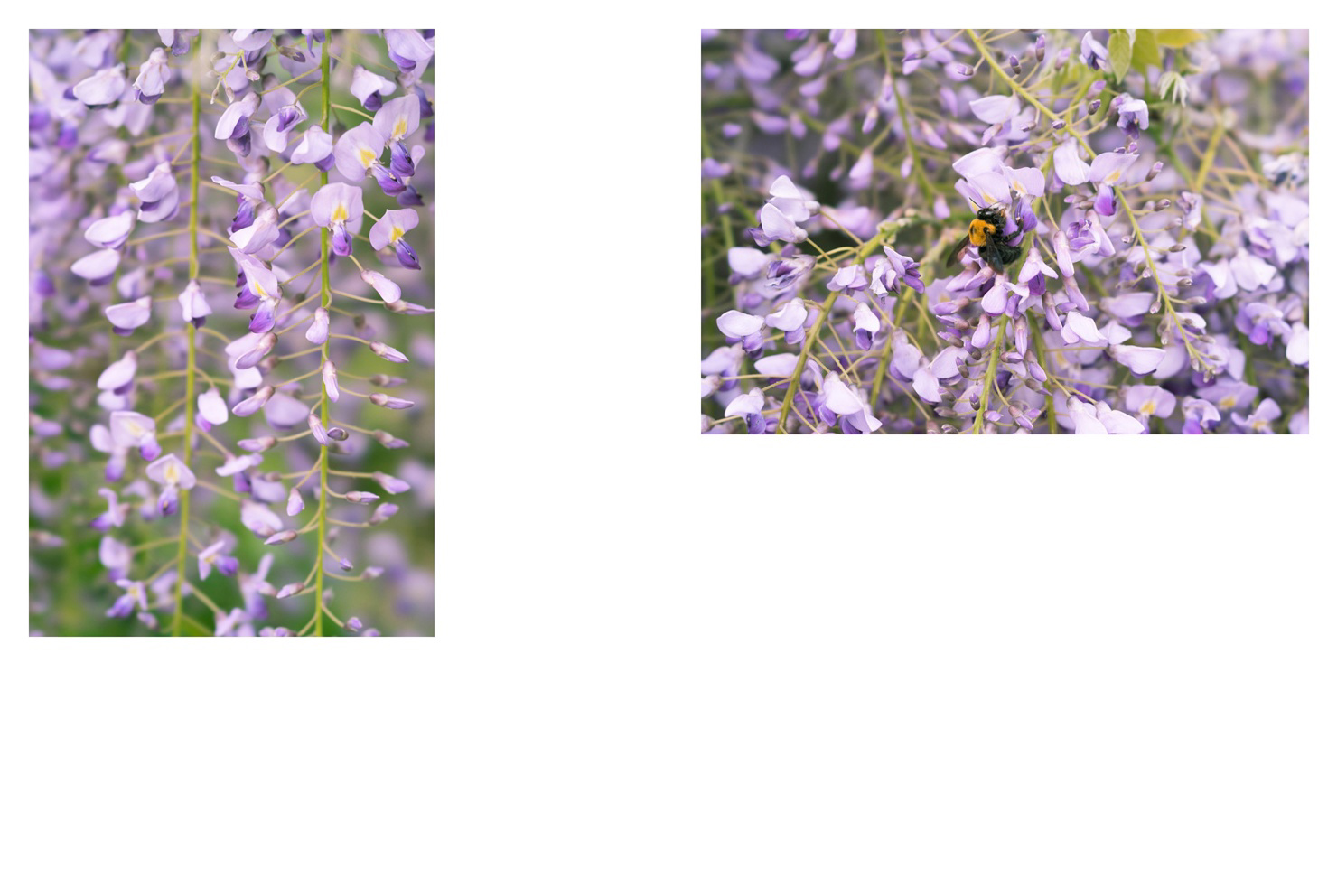 フォトブック 28ページ目
