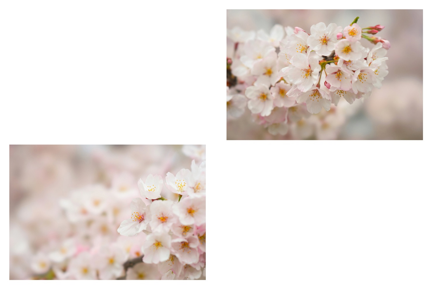 フォトブック 40ページ目