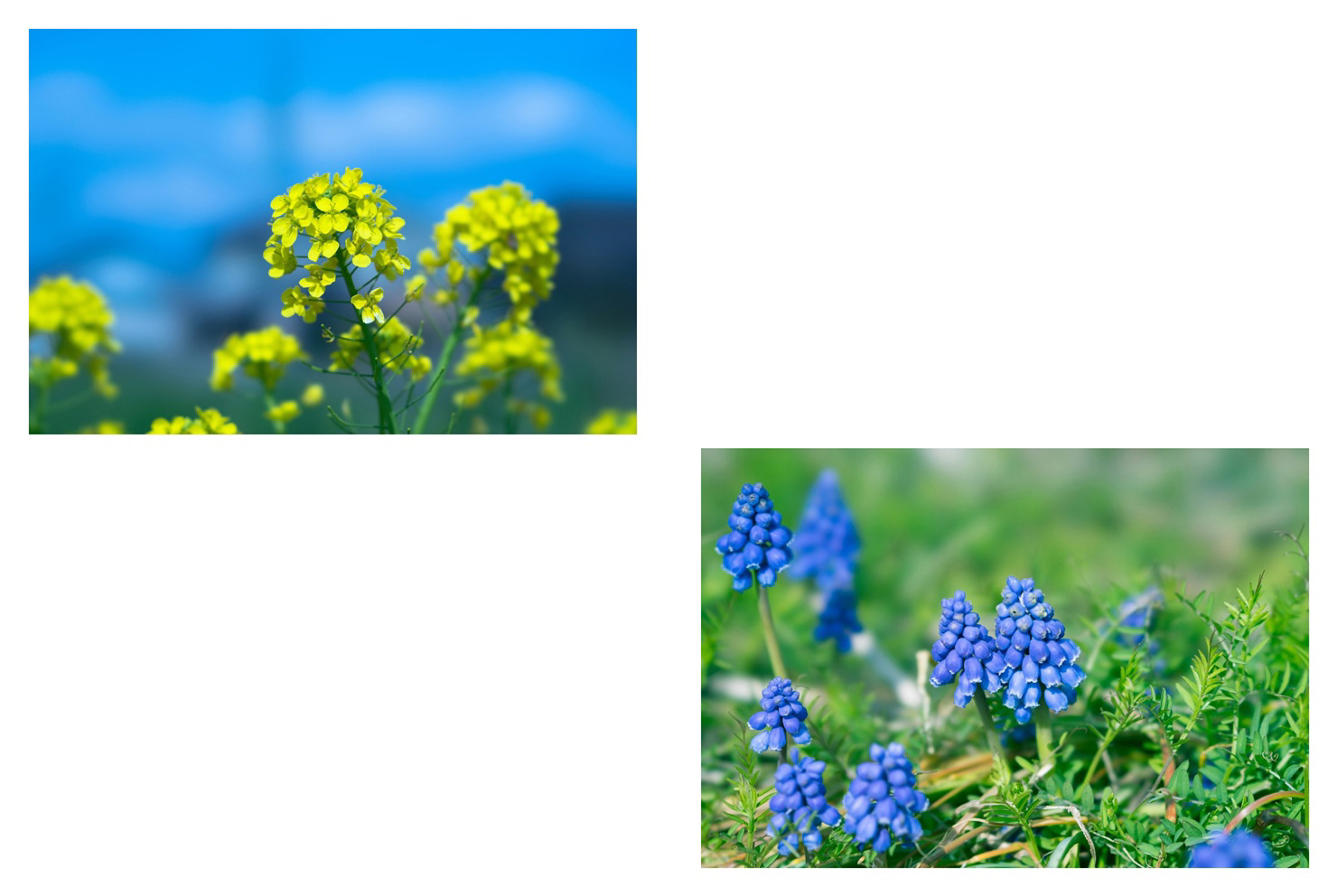 フォトブック 8ページ目